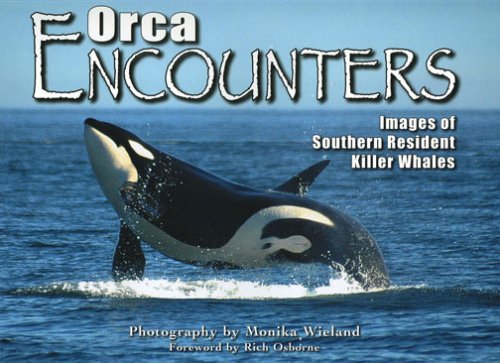 Orca Encounters by Monika Wieland