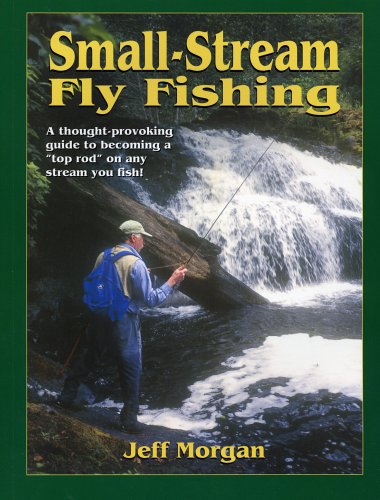 Small-Stream Fly-Fishing by Jeff Morgan